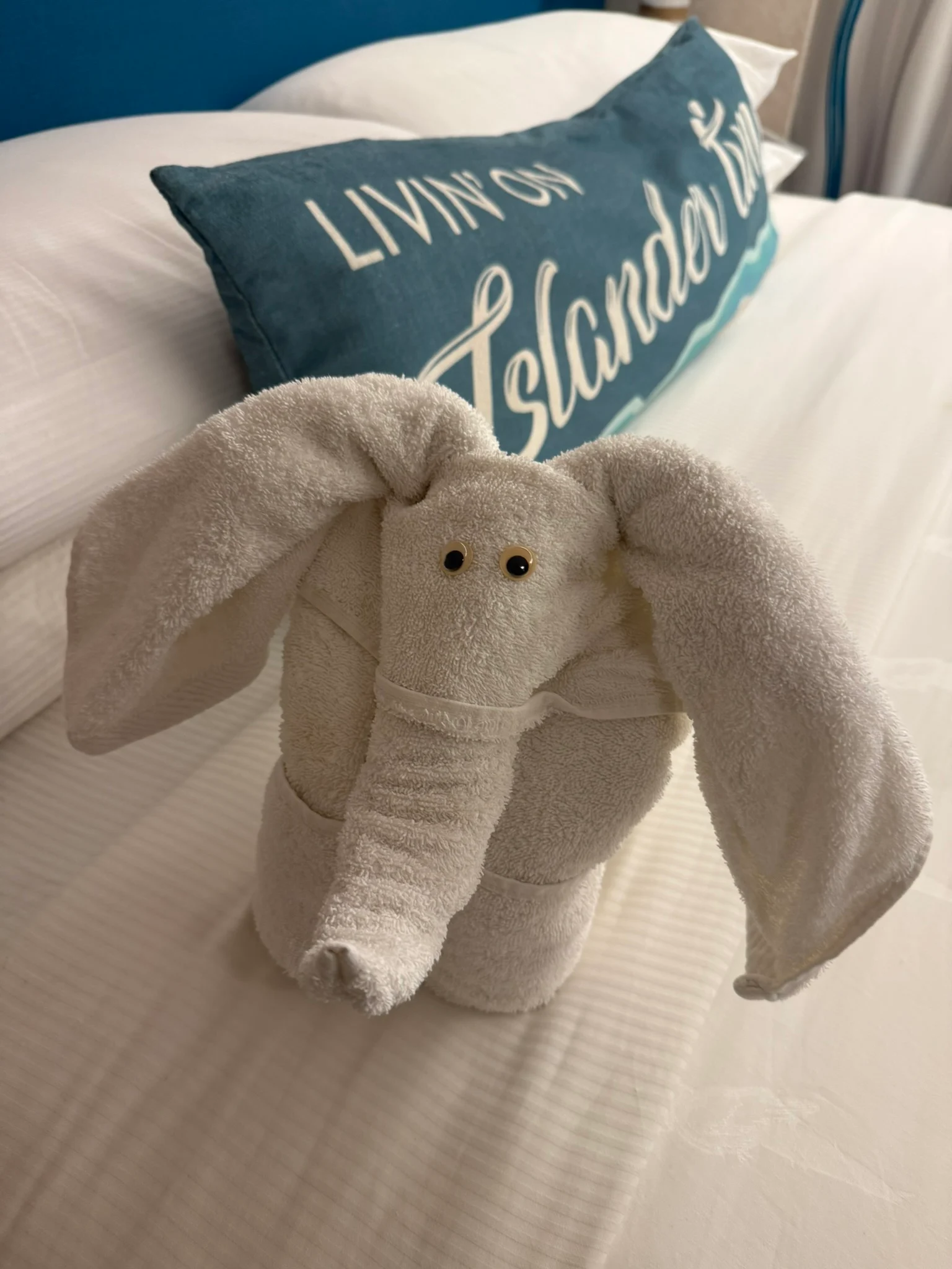 Towel Art
